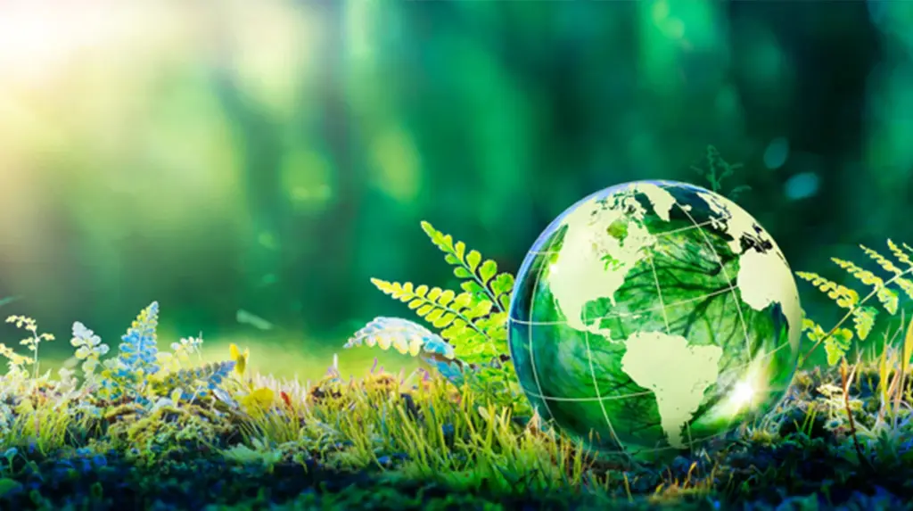 Environmental Compliance Plan Auditor