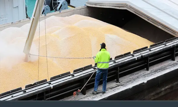 Expert in Dry Bulk Cargo Surveys