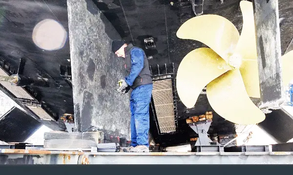 Incident & Damage Survey