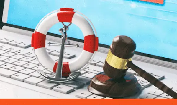 Essential Law for Marine Surveyors