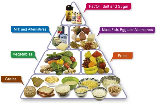 Healthy Cooking & Basic Nutrition