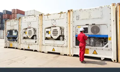 Expert in Refrigerated & Frozen Cargo Inspection