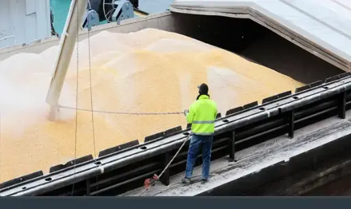 Expert in Dry Bulk Cargo Surveys